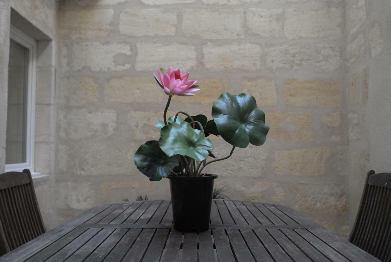 Millesime St Remi Apartment Bordeaux Bagian luar foto
